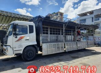 Dịch vụ cho thuê xe tải chở hàng 10 tấn tại TPHCM