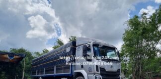 Xe tải chở hàng tại Quận Tân Bình 